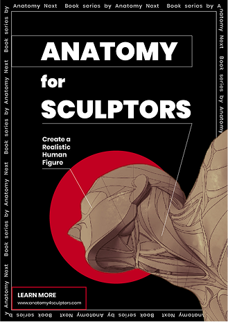 Anatomy for Sculptors poster