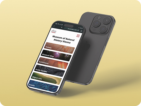 Mobile website UX design case study for the Natural History Museum Vienna