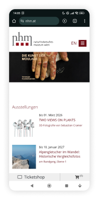 Old checkout , exhibition landing page