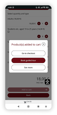 Old checkout , payment details