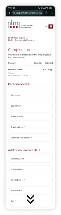 Old checkout , order summary