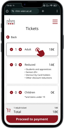 Ticket selection screen