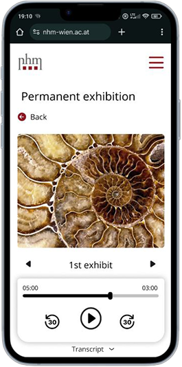 Audio guide screen with playback controls and transcript link