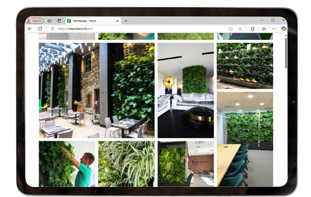 Current site – Gallery